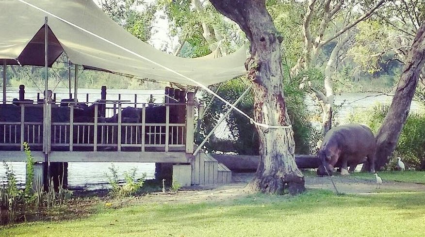 Elephant Café, Livingstone, Southern Province, Zambia